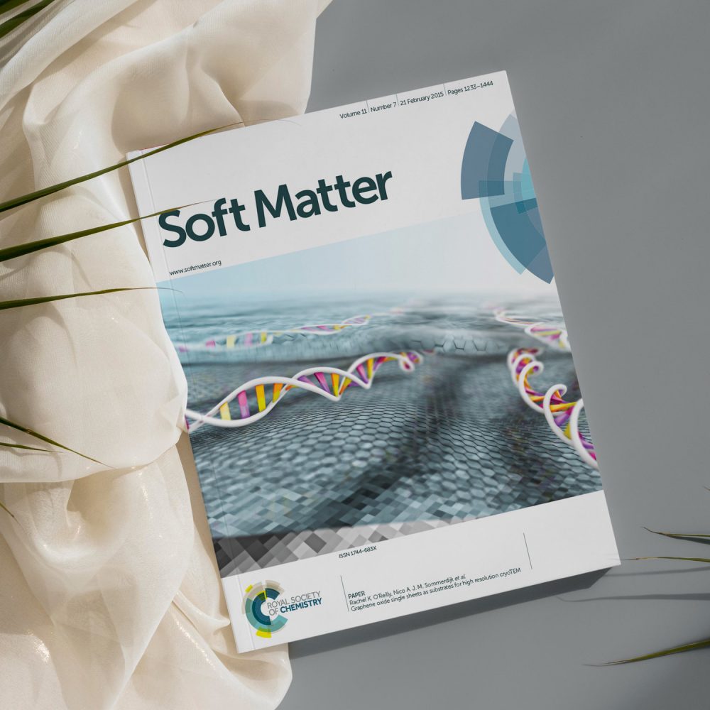 Soft Matter 2015