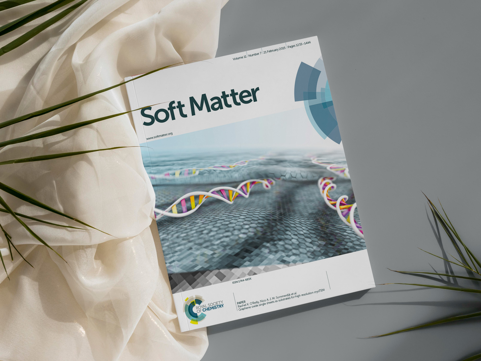 Soft Matter 2015