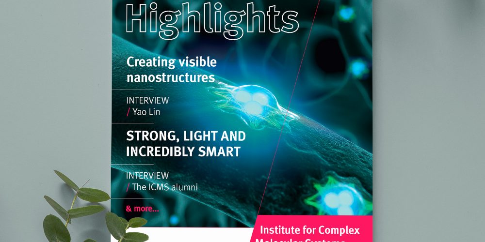 ICMS Highlights 2016