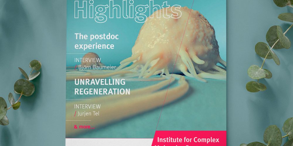 ICMS Highlights 2017