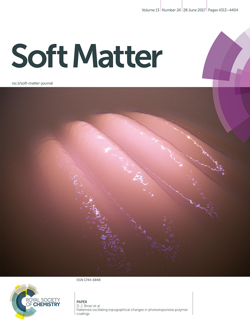 Soft Matter 2017 Flunky