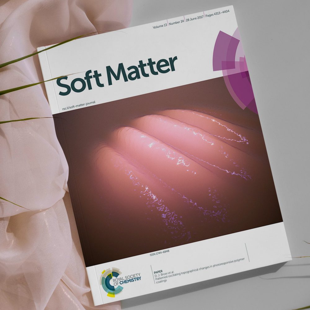 Soft Matter 2017