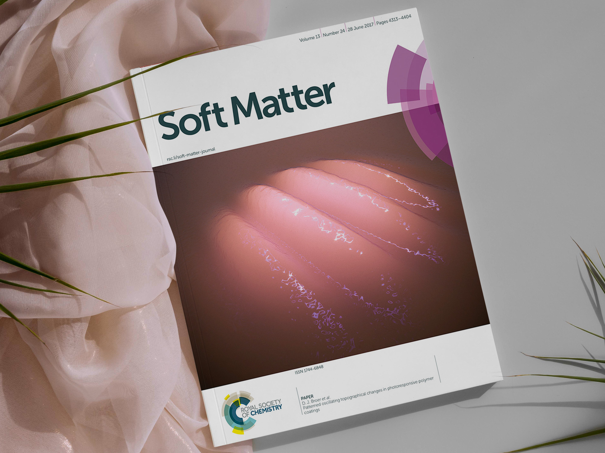 Soft Matter 2017