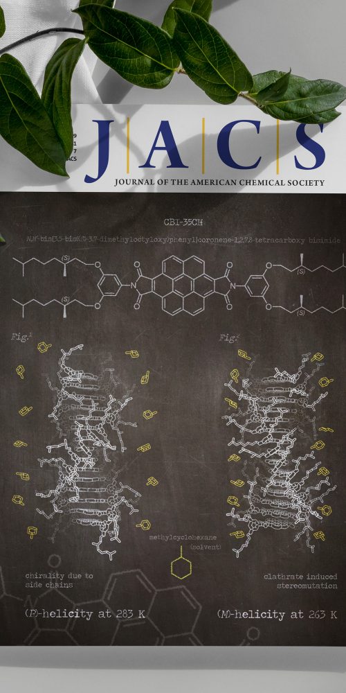 Cover Journal JACS