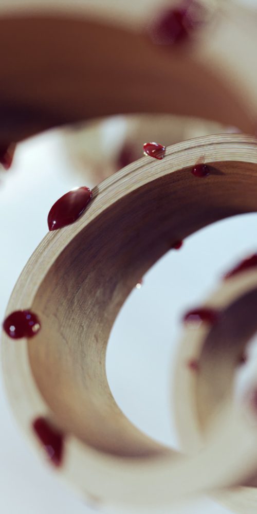 HEMOGLOBIN – THE OXYGEN CARRIER